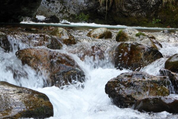 The Sanagra stream in the Val Sanagra Park