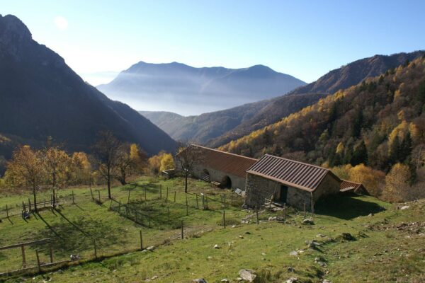 Alpe Erba in the Val Sanagra park