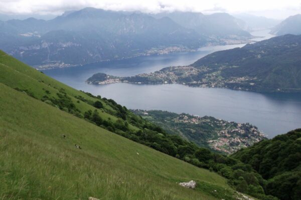 Along the slopes of Monte di Tremezzo and Monte Crocione